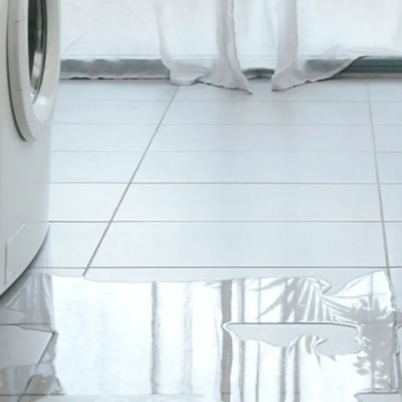 Appliance Leak Cleanup in Clayton, MO