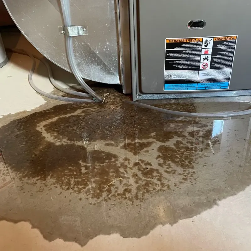 Pipe Burst and Leak Restoration in Clayton, MO