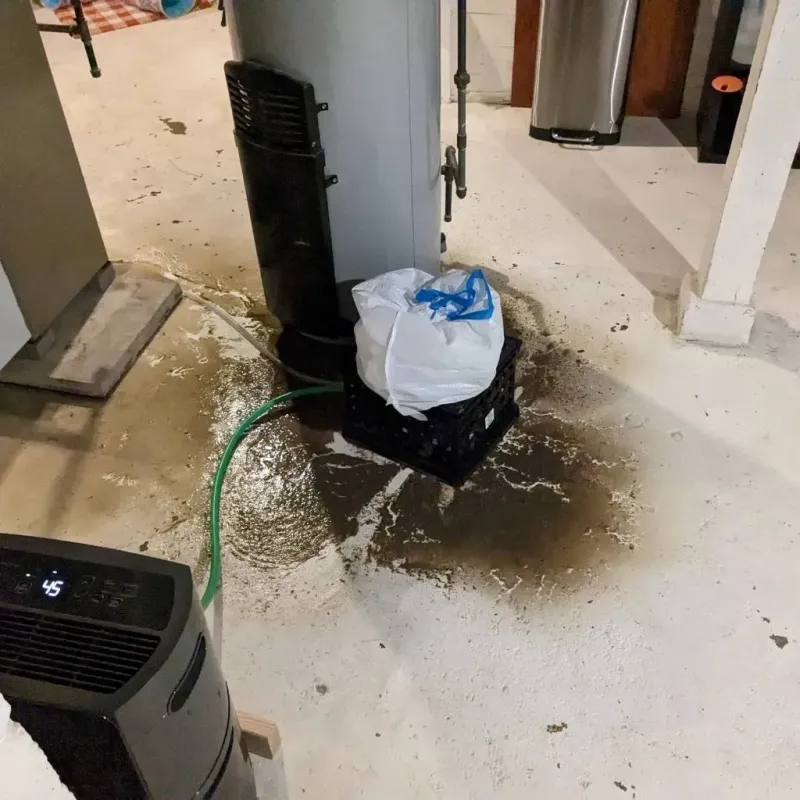 Sewage Backup Cleanup Service in Clayton, MO